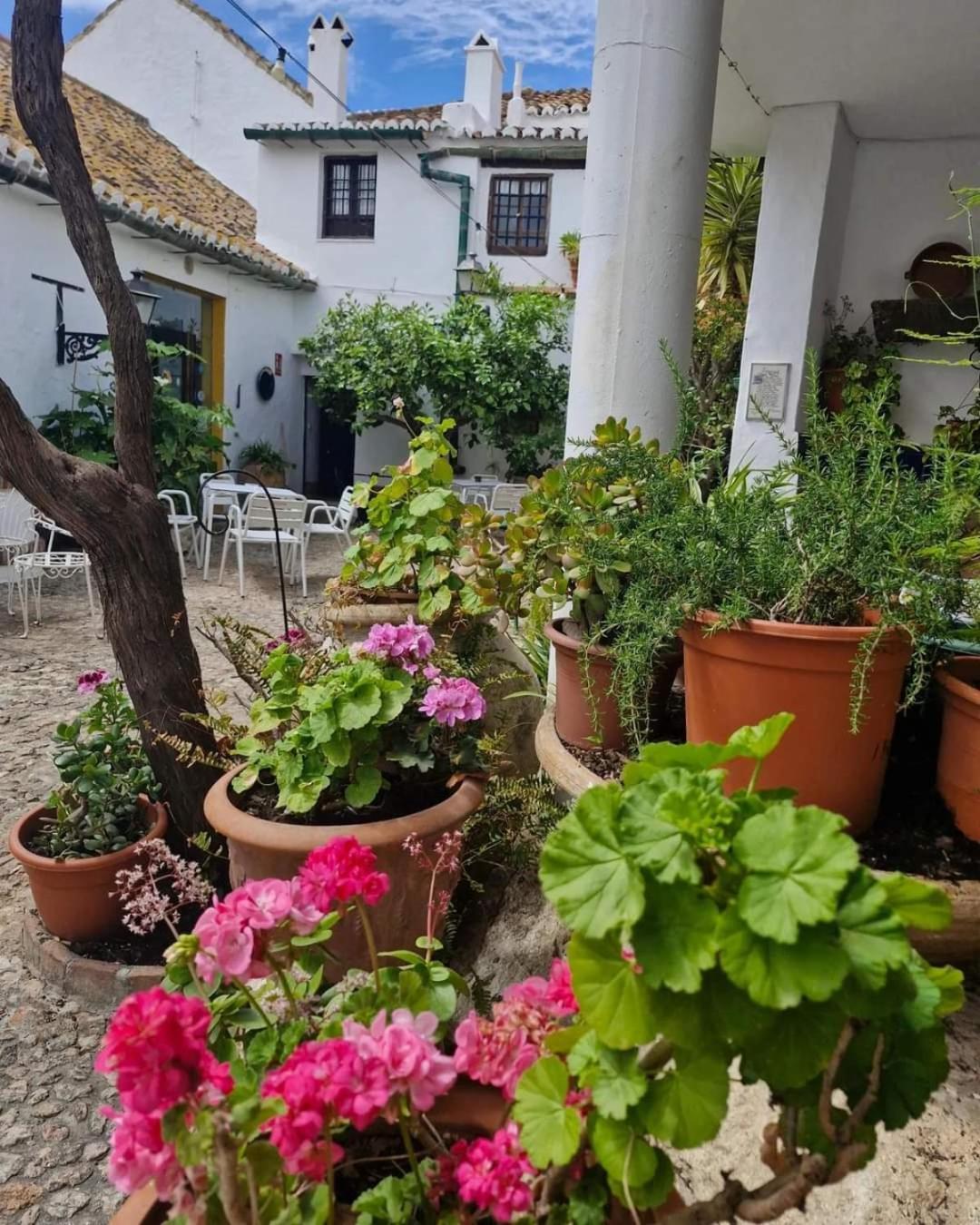 Hotel Rural Verde Oliva Comares Exterior photo